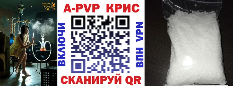 kraken tor  Берёзовский  Альфа ПВП СК КРИС 