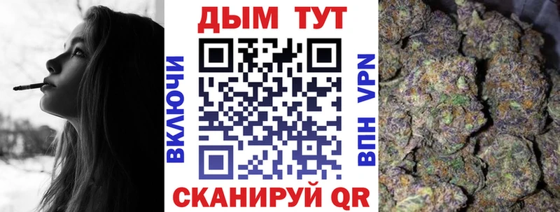 продажа наркотиков  OMG маркетплейс  Шишки марихуана сатива  Берёзовский 